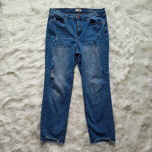Nicole Miller Distressed Straight Leg Jeans, SIZE 12